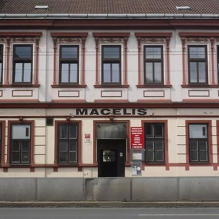 تشيسكي بوديوفيتسه Pension Macelis المظهر الخارجي الصورة